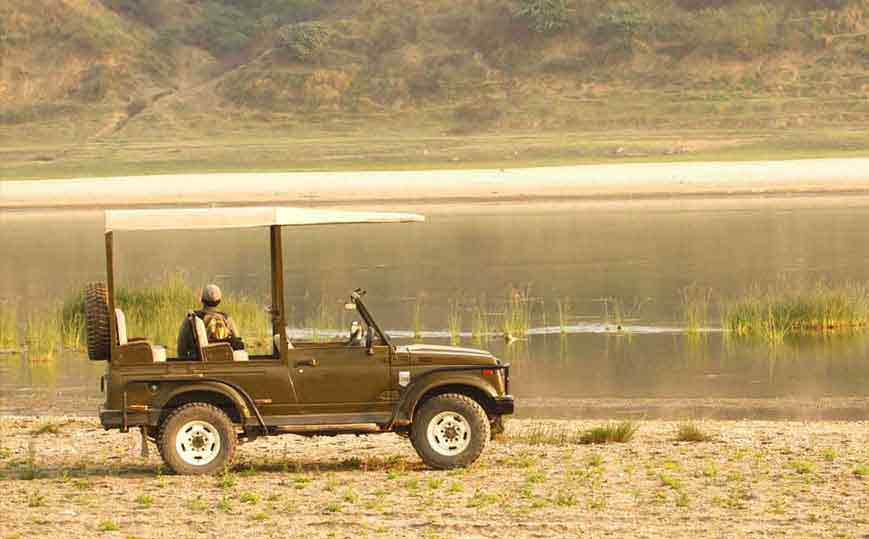 Chambal Safari Tour